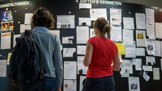 Zwei Studentinnen betrachten die Wohnungsanzeigen am Schwarzen Brett einer Universität