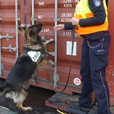 Ein Hund und eine uniformierte Person stehen an einem Container.