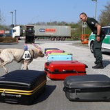 In Bremerhaven untersucht der Zoll mit Hilfe eines Hundes Koffer.