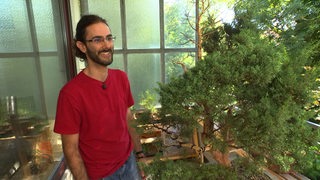 Der Geophysiker und Hobbygärtner Miguél Andres Martinez steht lächelnd, neben einem Bonsaibaum, auf seinem Balkon.