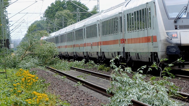 Ein IC-Zug steht auf Gleisen, die von herabgestürzten Ästen blockiert ist.