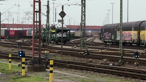 Mehrere Güterzüge stehen auf Gleisen in einem Güterbahnhof.