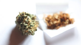 Eine getrocknete Cannabis-Blüte liegt neben Zigarettenpapier und Tabak.