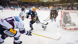 Eishockey-Spieler der Fischtown Pinguins und Eisbären Berlin kämpfen mit vollem Einsatz um den Puck.