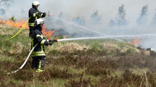 Die Feuerwehr versucht einen Moorbrand im deutsch-belgischen Grenzgebiet bei Aachen zu löschen.