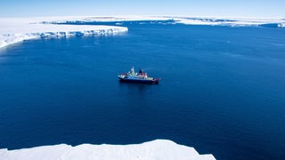 Ein Schiff fährt über blaues, ruhiges Wasser. Im Hinter- und Vordergrund sind große Eisschollen zu sehen.