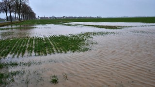 Ein überschwemmtes Feld in der Region Hannover (Archivbild)
