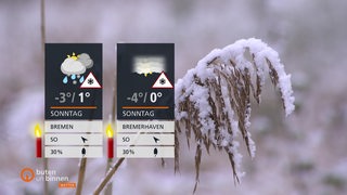 Links sind die Wetterkacheln und im Hintergrund sieht man eine Pflanze die mit Schnee bedeckt ist.