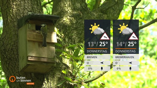 Rechts sind die Wetterkacheln und links ist ein Vogelhäuschen an einem Baum zu sehen. Vor dem Häuschen sitzt eine Kohlmeise.