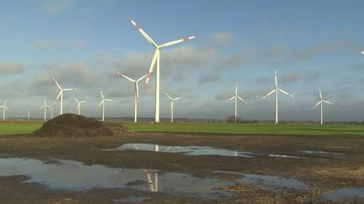 Auf einer großen Windpark-Fläche stehen mehrere Windräder.
